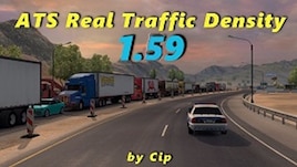 Real Traffic Density